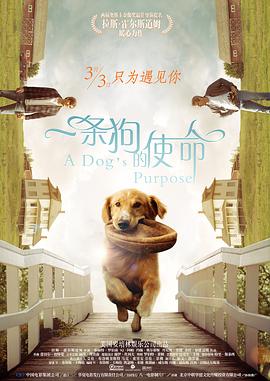 欧美性性性性性